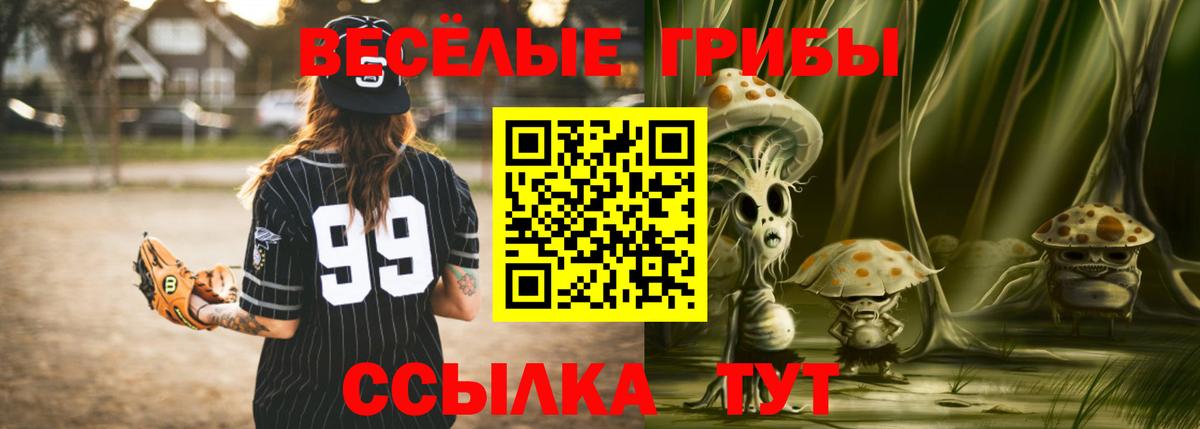 Салехард  наркотики  Псилоцибиновые грибы Cubensis  Вход с VPN  Галлюциногенные грибы Cubensis 